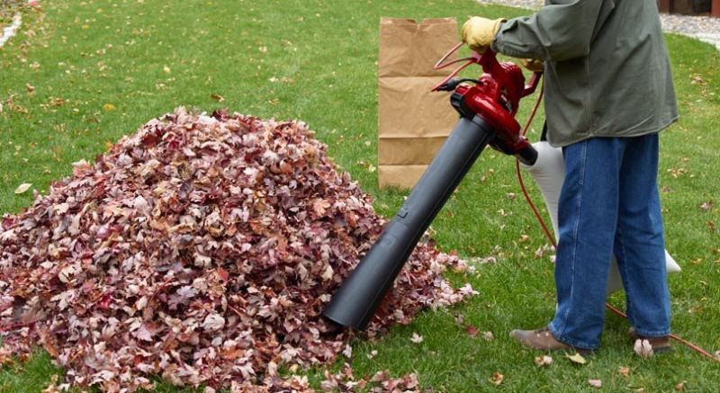 Factors to Consider When Choosing a Leaf Vacuum Mulcher