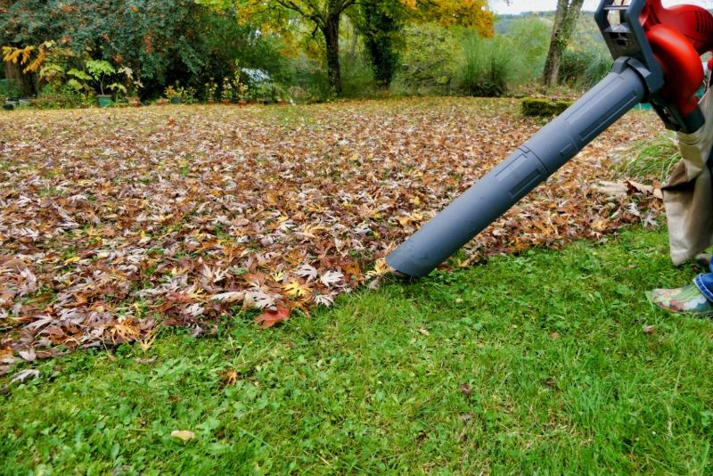 Which leaf vacuum mulcher is recommended as the top choice for leaves?