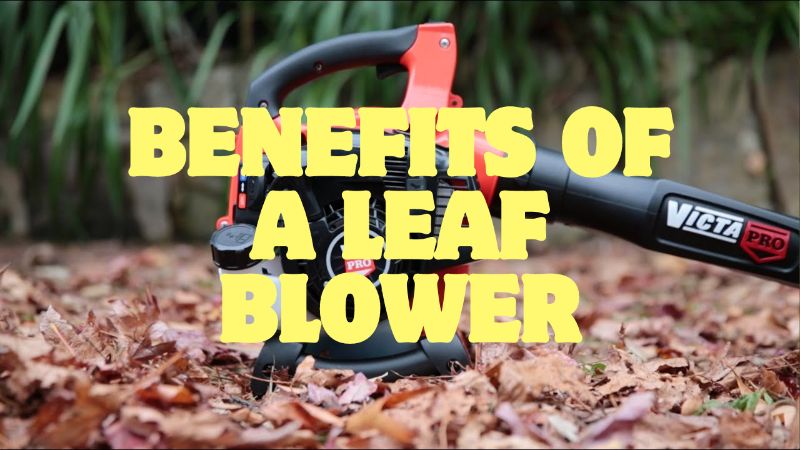 Some Benefits of a Leaf Blower You Should Know