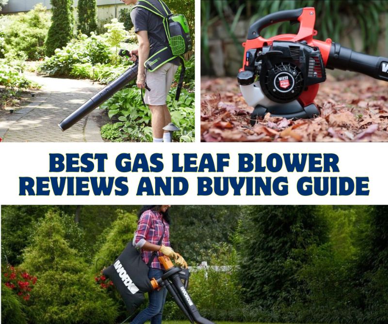 best-gas-leaf-blower-reviews-buying-guide